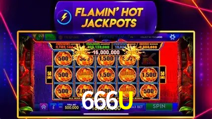 Flash Promotion 666U