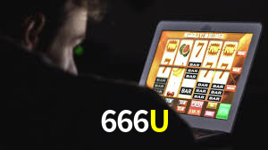 Premium Interface 666U